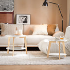 Duo de tables basses rondes